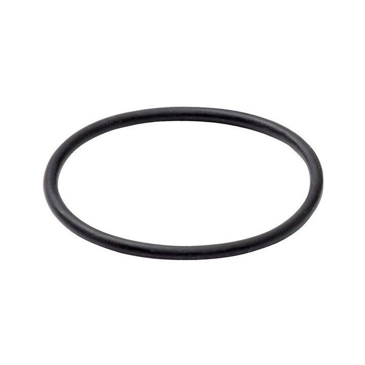 Фотография Кольцо для колб DP EPDM70 Atlas Filtri (Италия) Фотография Кольцо для колб DP EPDM70 Atlas Filtri (Италия)