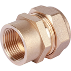муфта обжимная латунная разъемная 20*3/4" ВР(F)  ГАЗ. NEPTUN